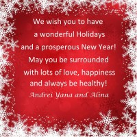 Happy Holidays and Happy New Year!!!